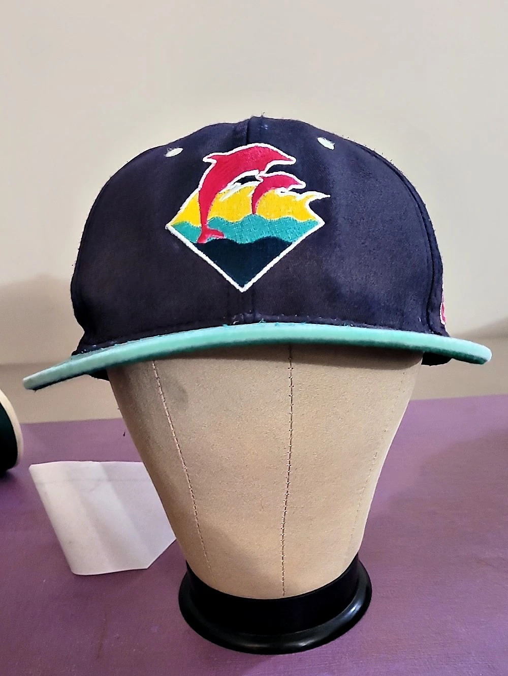 Pink Dolphin The Waves Snapback Hat in Blue & Green